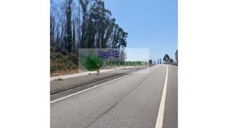 Land for sale in Sever do Vouga, Portugal — €750,000
