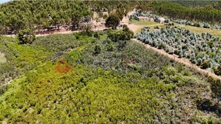 Terreno em Aljezur · 186 768 m² · 550 000 €