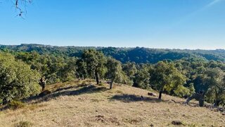 Land for sale in Santiago do Cacém, Portugal — €540,000
