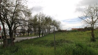 Terreno de 13 000 m² em Évora