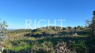 Terreno de 29 600 m² em Santarém