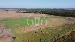 Land for sale in Odemira, Portugal — €5,000,000