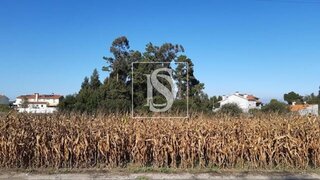 Land for sale in Resende, Portugal — €1,000,000