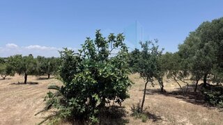 Land for sale in Albufeira, Portugal — €1,500,000