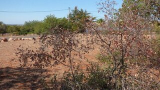 Land for sale in Loulé, Portugal — €750,000