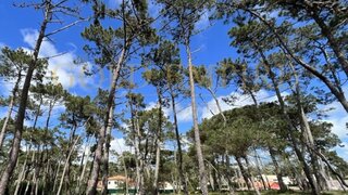Land for sale in Sintra, Portugal — €1,300,000