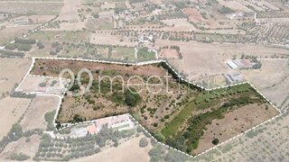 Terreno em Cartaxo · 68 000 m² · 650 000 €