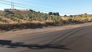 Land for sale in Elvas, Portugal — €880,000