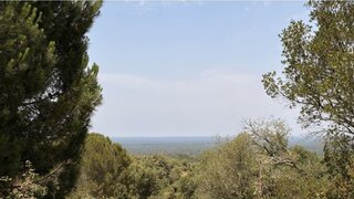 Land for sale in Grândola, Portugal — €1,100,000
