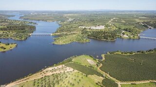 Land for sale in Avis, Portugal — €550,000