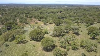 Terreno em Grândola · 73 000 m² · 1 350 000 €