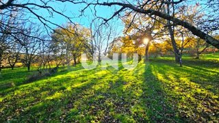 Terreno de 19 032 m² em Viseu