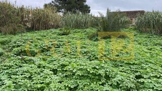 Terreno de 2000 m² em Lisboa