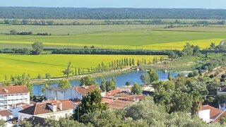 Land for sale in Coruche, Portugal — €450,000