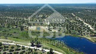 Land for sale in Benavente, Portugal — €352,500