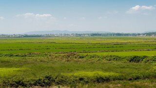 Land for sale in Grândola, Portugal — €3,600,000
