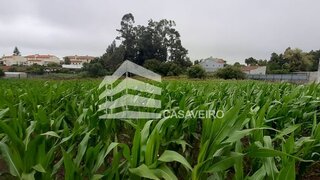 Terreno de 5300 m² em Aveiro