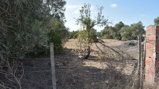 Land for sale in Montijo, Portugal — €495,000
