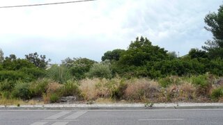 Land for sale in Sintra, Portugal — €3,500,000