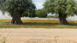 Terreno em Serpa · 56 900 m² · 420 000 €