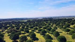Terreno de 448 038 m² em Setúbal