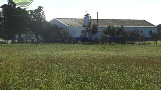 Land for sale in Grândola, Portugal — €950,000
