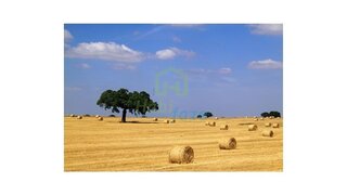 Land for sale in Redondo, Portugal — €3,500,000