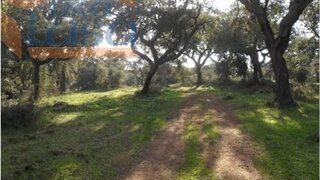 Land for sale in Ferreira do Alentejo, Portugal — €5,100,000