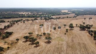 Land for sale in Santiago do Cacém, Portugal — €2,649,000