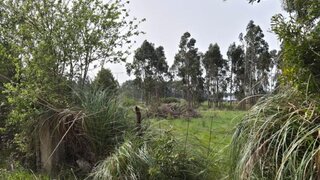 Land for sale in Vila do Conde, Portugal — €475,000
