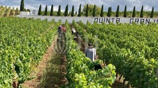 Land for sale in Alijó, Portugal — €1,100,000