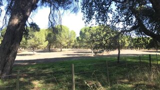 Terreno de 450 000 m² em Setúbal