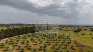 Land for sale in Idanha-a-Nova, Portugal — €920,000