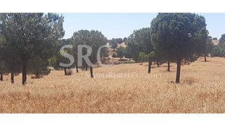 Land for sale in Mértola, Portugal — €750,000