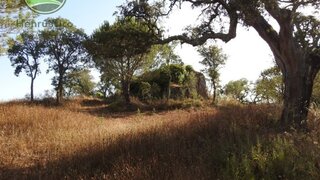 Land for sale in Santiago do Cacém, Portugal — €2,330,000