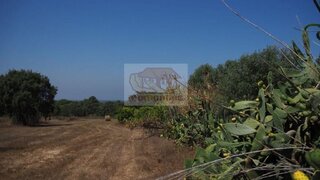 Land for sale in Grândola, Portugal — €450,000