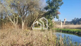 Land for sale in Ovar, Portugal — €425,000