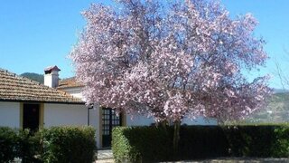 Land for sale in Santa Marta de Penaguião, Portugal — €2,500,000