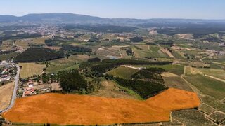 Land for sale in Bombarral, Portugal — €620,000