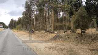 Terreno para venda em Entroncamento, Portugal — 600 000 €