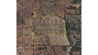 Terreno de 26 000 m² em Faro