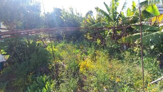 Land for sale in Funchal, Portugal