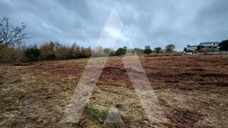 Land for sale in Viseu, Portugal — €420,000