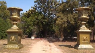 Terreno de 10 600 m² em Lagoa