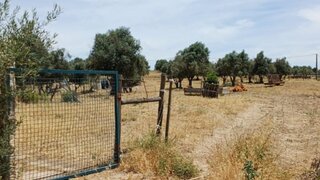 Land for sale in Aljustrel, Portugal — €6,500,000
