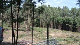 Land for sale in Penafiel, Portugal — €1,000,000