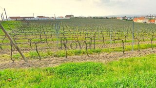Land for sale in Óbidos, Portugal — €980,000