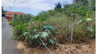 Land for sale in Funchal, Portugal — €990,000