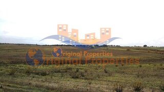 Terreno em Ferreira do Alentejo · 240 000 m² · 750 000 €