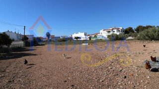 Land for sale in Castro Marim, Portugal — €1,780,000